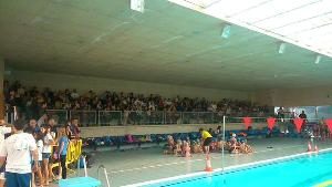 liga web